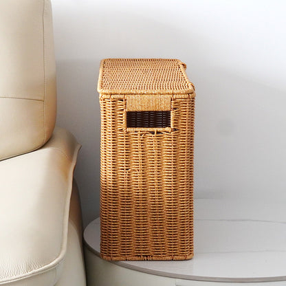 Hand-Woven Imitation Rattan Storage Basket with Lid |  Narrow Space-Saving Organizer Box